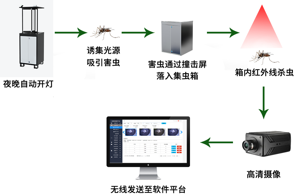 太阳能虫情测报灯