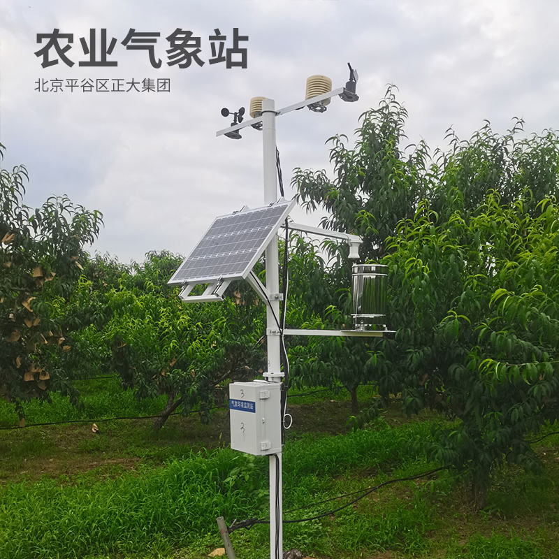 生态自动气象站监测要素有哪些？