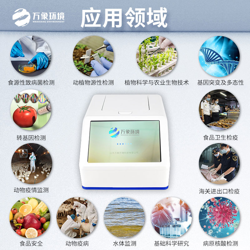 四通道96孔PCR仪——技术革新,效率飞跃 四通道96孔PCR仪——技术革新,效率飞跃