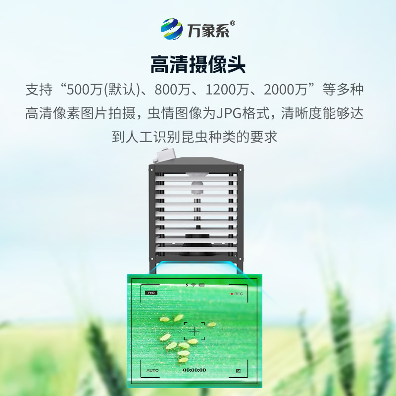 小虫体自动测报系统