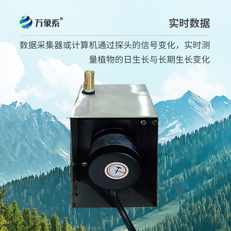 植物生长传感器,监测环境因子对树干生长变化的影响 植物生长传感器,监测环境因子对树干生长变化的影响
