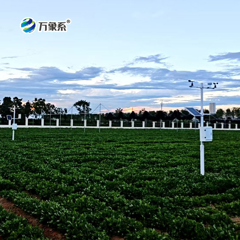 农业环境气象监测站在特色农业中的应用实践