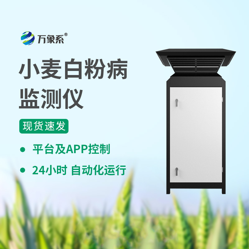 小麦白粉病监测仪