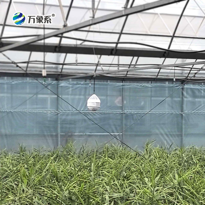 大棚积温积光监测仪